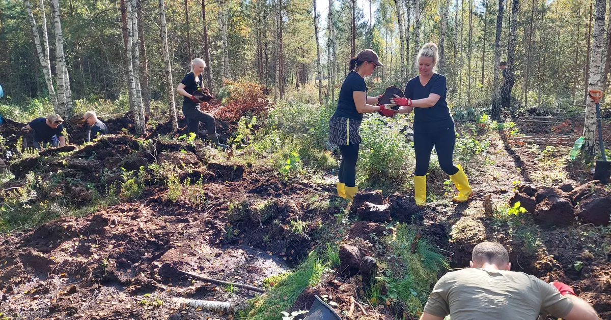 Tallinn kutsub vabatahtlikke Pääsküla raba taastamistalgutele