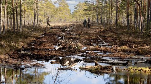 KADRI-AIJA VIIK ⟩ Pärast Kikepera soostamist tulgu või veeuputus