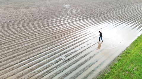 Taimekasvatajad saavad mulluste ilmastikukahjude hüvituseks 3,3 miljonit eurot