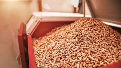 Pelletitootjad energiakriisist: võimatu ennustada, kui kalliks tootmine kujuneb, sügisel võib tulla hinnatõus