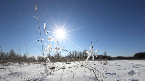 KEVAD TULEB ⟩ Teisipäeval purunes Eestis mitu soojarekordit