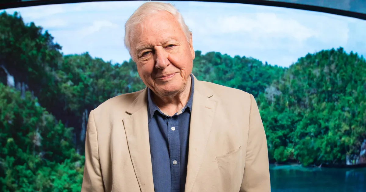 Telelegend Sir David Attenborough sai sünnipäevaks erakordse kingituse: omanimelise herilase