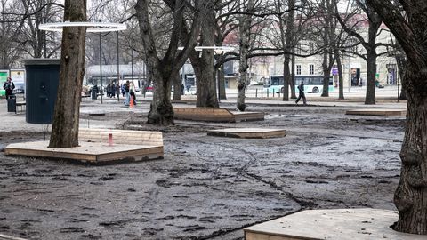 FOTO ⟩ Pealinna ajalooline Tammsaare park laguneb ja upub porisse. Linnavõimud laiutavad käsi