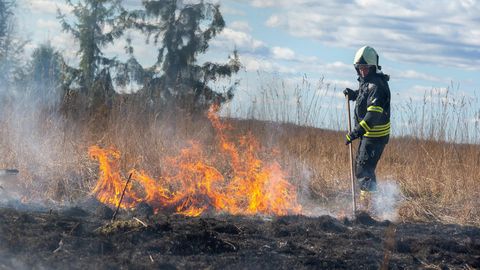Kulupõlengud vajasid kustutamist Pangodi ja Uderna külas