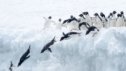 Millal oli Antarktika viimati jäävaba?