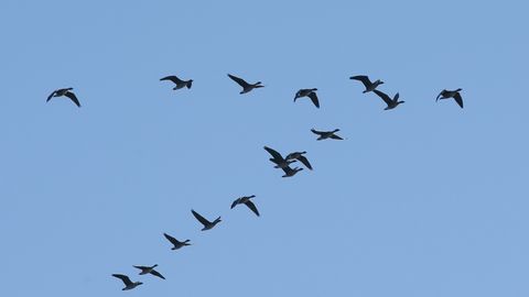 PÄEVAHOROSKOOP ⟩ 21. märts: Amburit soosib nädalavahetus reisimist ja seiklusi, Sõnni ootab mõnus vaheldus