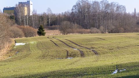 Vett napib: soe märts võib lõppeda põuaga