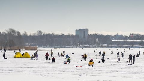 Tinti ja räime tuleb sel aastal veel oodata