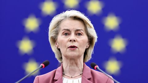 TARMO PIKNER ⟩ Euroopa peab leidma oma juured