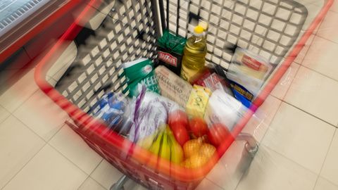 POSTIMEHE OSTUKORV ⟩ Poodide hinnaralli on sisse saanud uue hoo