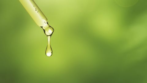 Kaks taimset ühendit tegid rasvunud maksaga seda, mida ravimid pole suutnud