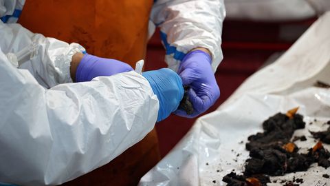 Vangide vahetuse käigus Ukrainasse toimetatud sõduri surnukehast leiti granaat