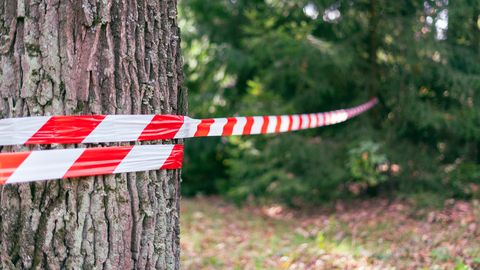 Raputav mõrvajuhtum: naine valiti julma veretöö ohvriks vaid seetõttu, et ta sarnanes tapjaga