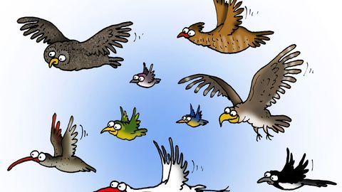 Kevadekuulutajate välimääraja: karud, kulupõletajad ja minister Terrase koer