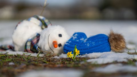 PÄEVAHOROSKOOP ⟩ 13. märts: Jäära seltsielu muutub aina aktiivsemaks, kaksik otsib vaimset stimuleerimist
