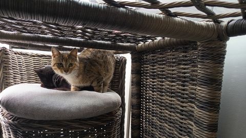 SINNA JA TAGASI ⟩ Märkmeid muutuvast maailmast