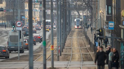 GALERII ⟩ Tartu maantee trammitee lööb haljendama