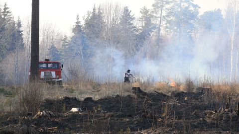 Mustvee vallas sai elanik viga kulupõlengut kustutades