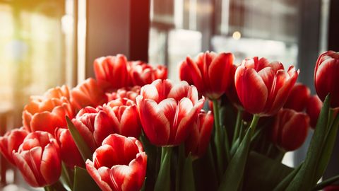 PÄEVAHOROSKOOP ⟩ 16. märts: Vähk võiks endale lubada hetke unistamiseks, Kaaludel tuleks pühenduda tervisele ja heaolule