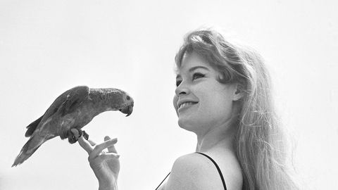 KAASA ARVATUD BRIGITTE BARDOT ⟩ Oscarite jagamise mälestusosas jäeti mitmed hiljuti surnud staarid sootuks mainimata