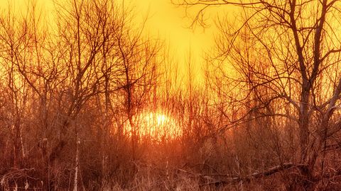 NÄDALAPROGNOOS ⟩ Nädala teine pool toob julgeid tegusid ja uusi alguseid