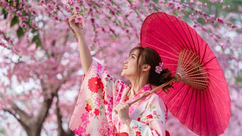 Ei peagi Jaapanisse minema! See salajane kirsipuude paradiis ootab sind lähemal, kui arvata oskad!