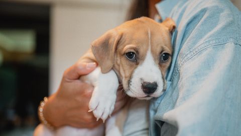 PÄEVAHOROSKOOP ⟩ 18. märts: Vähil tasub olla suuremeelne ja andestav, Neitsil võib rahaasjades avaneda ootamatuid võimalusi