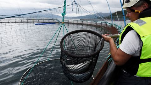 Riik toetab kalandusvaldkonna uuenduslikke ideid