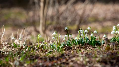 Laupäeval särab päike