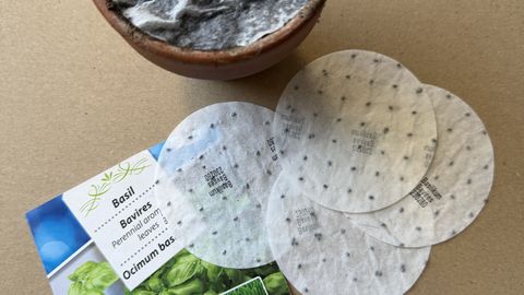 NÄDALA AED ⟩ Varakevadised külvid