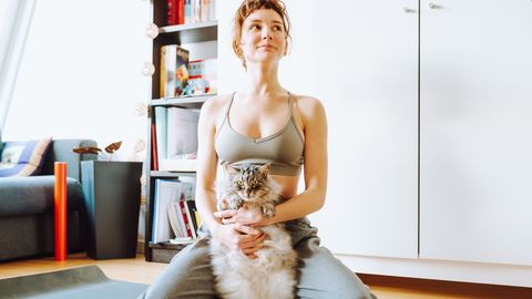 Ülipopulaarne tänavakassi dieet lubab kaunist keha ja säravat nahka