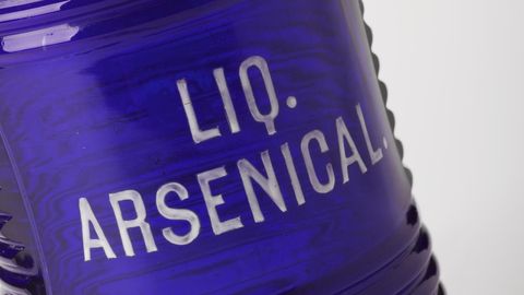 Koer kaevas Inglismaal ilmselt üles kurikuulsa 19. sajandi mõrva tõendi