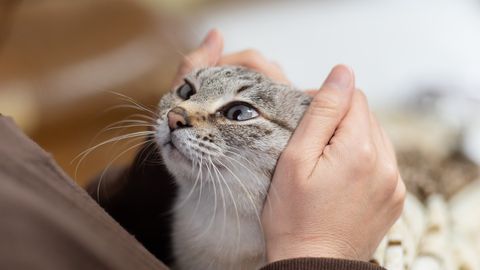 Perekond sai loomade varjupaigast ootamatu teatega kõne: «Ma ei suutnud seda uskuda!»