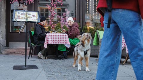 GALERII ⟩ Soe ja päikeseline laupäev meelitas kevadenautlejad tänavatele