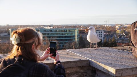 Teisipäeval tuleb kuni 12 kraadi sooja