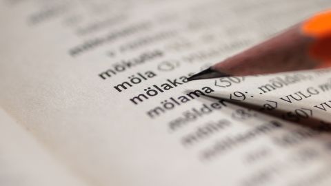 Ilmus uus ÜS ehk ülejäänud sõnade sõnastik