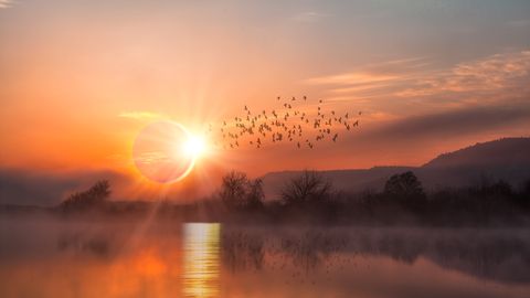 NÄDALAPROGNOOS ⟩ Palju tõde tuleb taas päevavalgele: keegi peab võtma vastutust
