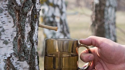 KEVAD KLAASIS ⟩ 5 põhjust, miks kasemahl su tervisega imesid teeb