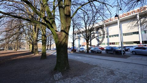 Keskpargis langevad varsti esimesed kümmekond puud