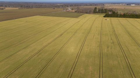 Ettevaatlik optimism: talv soosis saaki, kevad paneb proovile