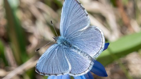 PÄEVAHOROSKOOP ⟩ 28. märts: veevalaja olulised suhted saavad tugeva vundamendi, vähil hea aeg investeeringute planeerimiseks