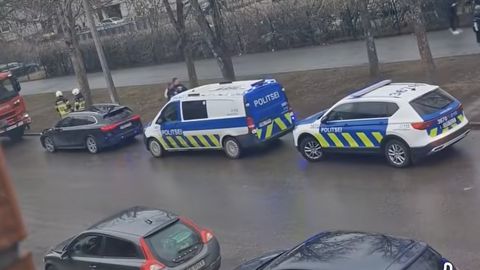 VIDEO ⟩ Politsei ja pommirühm: Lasnamäe kooli garderoobis lasti gaasi, keegi viga ei saanud