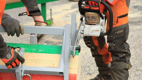 Maaülikool on maailmas 43. kohal põllumajanduse ja metsanduse alal