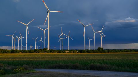 PETTUS? ⟩ Saksamaa uus kliimakava sai kriitikutelt valusa vastulöögi