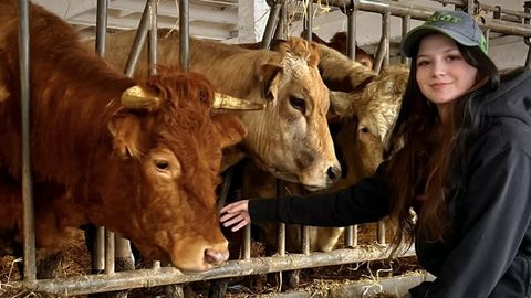 Säreveres on kasvamas staarlehm