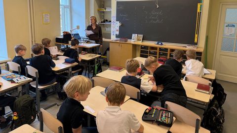 ANU NIGESEN ⟩ Poisid vajavad teistsugust õpetamist kui tüdrukud