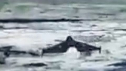 VIDEO ⟩ Uus tase Ukraina droonitõrjes: püüdurdroon Litavr hävitas Shahedi täiesti uuel moel