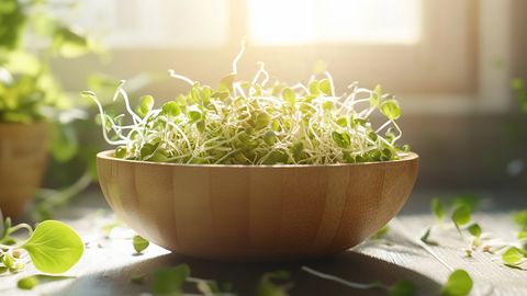 TERVISEPOMM ⟩ See kevadine supertoit langetab halba kolesterooli kuni 84 protsenti