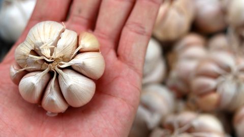 Puhastab veresooni ja langetab rõhku: küüslauk teeb ravimitele silmad ette