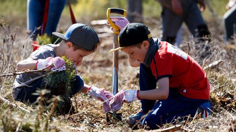 Jõulukuuse raha aitab 5000 last metsa istutama sõidutada